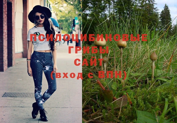 спиды Елизово